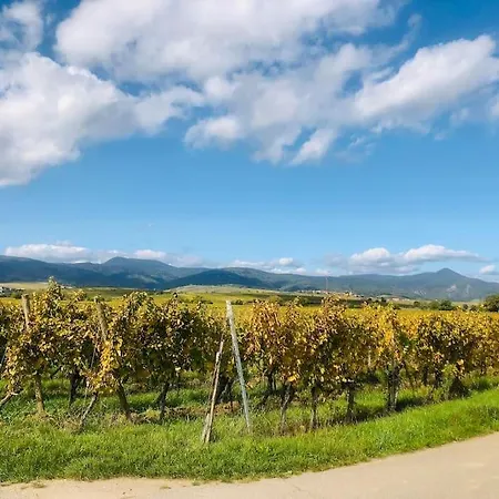 דירה Un Petit Ecrin Au Coeur Du Vignoble Alsacien מיטלוויר