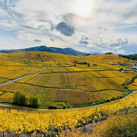 Un Petit Ecrin Au Coeur Du Vignoble Alsacien דירה