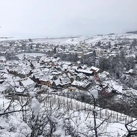 דירה Un Petit Ecrin Au Coeur Du Vignoble Alsacien מיטלוויר