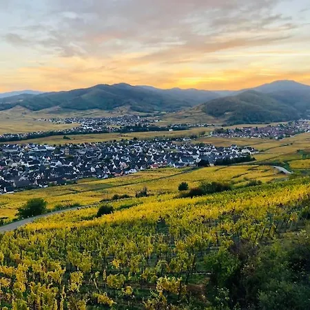 Un Petit Ecrin Au Coeur Du Vignoble Alsacien דירה