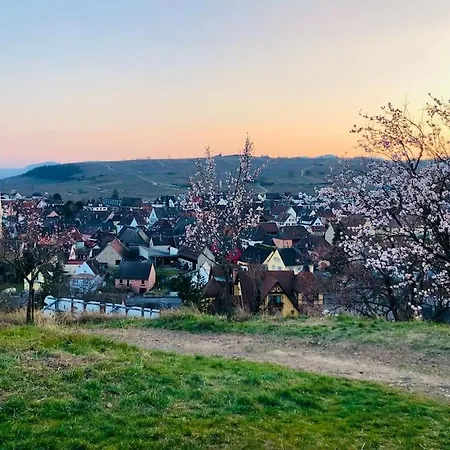 דירה Un Petit Ecrin Au Coeur Du Vignoble Alsacien מיטלוויר