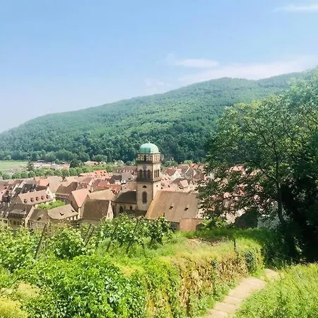 Un Petit Ecrin Au Coeur Du Vignoble Alsacien * מיטלוויר