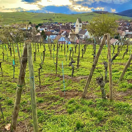 Un Petit Ecrin Au Coeur Du Vignoble Alsacien דירה